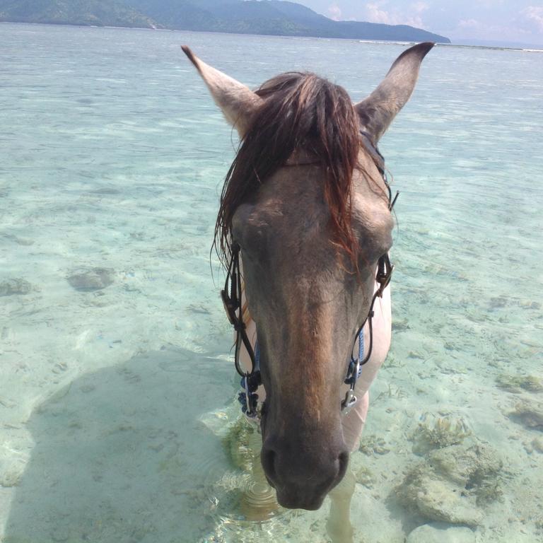 Gili T Sugar Shack Hotel Gili Trawangan Eksteriør billede